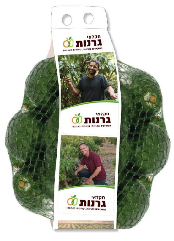 אבוקדו גרנות צילום מעין עופר